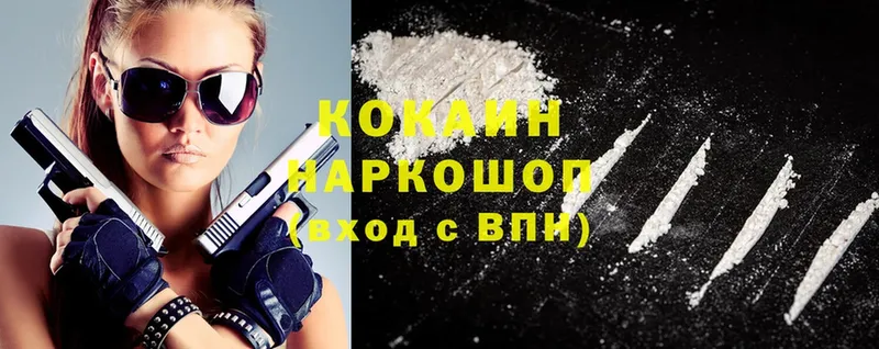 где найти наркотики  Грязовец  гидра онион  Cocaine Fish Scale 