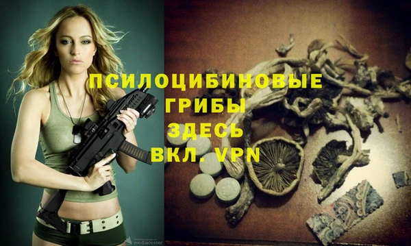 ALPHA PVP Вяземский